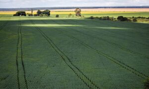 Estudo aponta desafios do seguro rural em meio a mudanças climáticas - Portal ZUG - Vale do Aço