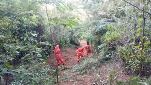 Ipatinga avança em ações de conscientização, prevenção e combate às queimadas - Portal ZUG - Vale do Aço