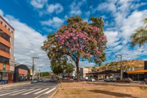 Prefeitura projeta Plano de Mobilidade para Ipatinga - Portal ZUG - Vale do Aço