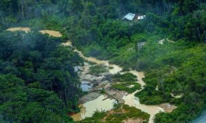 Greenpeace Brasil encontra 176 escavadeiras em terras Yanomami - Portal ZUG - Vale do Aço