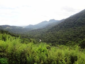 Marco temporal pode devastar até 55 milhões de hectares, alerta pesquisa