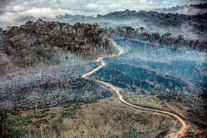 Sob governo Lula, Amazônia registra em junho maior número de queimadas em 16 anos