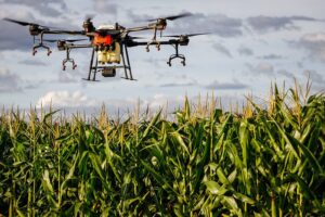 PRODUTORES RURAIS: Agricultura da cidade de Machado recebe pulverização por Drone