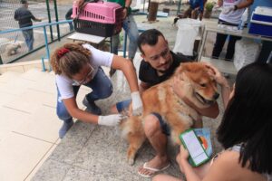 Timóteo oferece nova oportunidade para vacinar contra a raiva animal