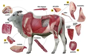 DADOS DO IBGE: Preço da carne bovina caiu pelo sexto mês consecutivo