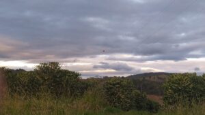 Caso Marília Mendonça: esfera de sinalização é colocada em cabo da torre de energia onde avião da cantora bateu, em MG | Vales de Minas Gerais