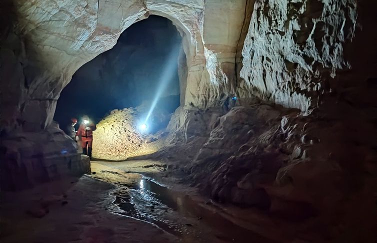 Pará - Animal em extinção de 1 mm é encontrado apenas em caverna no PA. Cientistas buscam sensibilizar comunidades para conservação de bichinho. Foto: Acervo IDEFLOR-Bio/PAT Xingu