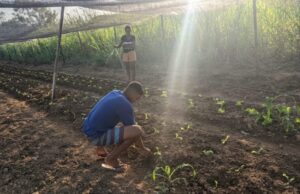 Prefeitura de Ipatinga divulga oportunidade de formação  gratuita para jovens da cidade