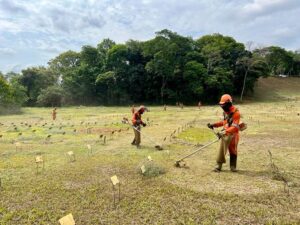 Prefeitura de Ipatinga prepara cemitérios para feriado de Finados