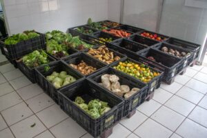 Prefeitura de Ipatinga promove Fórum de Segurança Alimentar e Nutricional