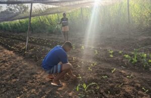 Prefeitura de Ipatinga divulga oportunidade de formação gratuita para jovens da cidade