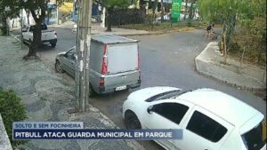 Pitbull ataca Guarda Municipal em parque de BH - Minas Gerais