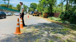 VENDAVAL: Dia de limpeza das vias em Ipatinga. Cemig desligou a energia nos trechos afetados