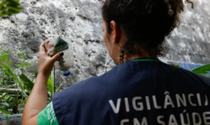 Dengue e chikungunya levam Minas Gerais a decretar emergência