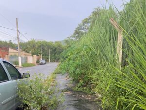 Moradores do bairro Cruzeirinho, em Timóteo, reclamam de matagal na área da Aperam