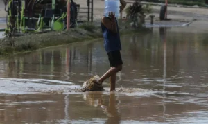 Especialistas alertam sobre risco de doenças trazidas por chuva forte