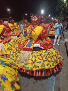 Aos 81 anos, mulher que nasceu em Mutum é destaque no carnaval do Rio