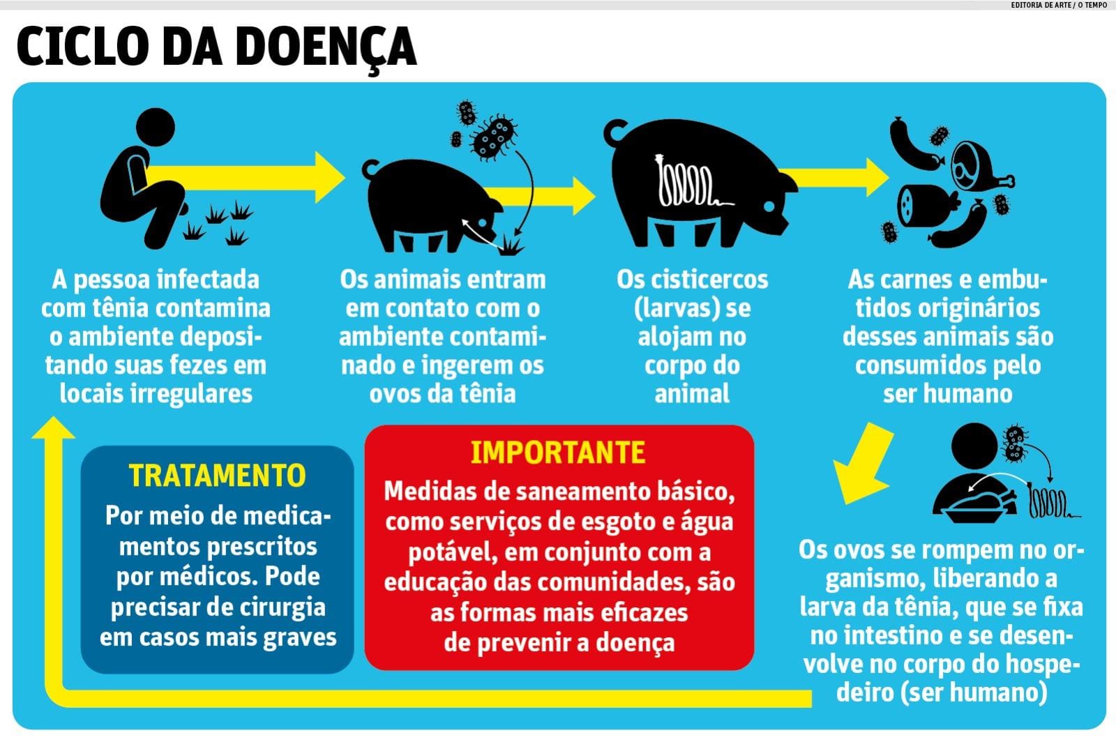 Saiba mais sobre a cisticercose