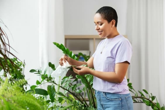 Mulher passando um pano branco em uma planta