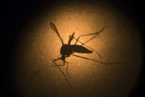 Em uma semana, Vale do Aço registra mais de 3.200 novos casos de chikungunya