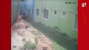 VÍDEO: muro de escola desaba em São Félix de Minas | Vales de Minas Gerais