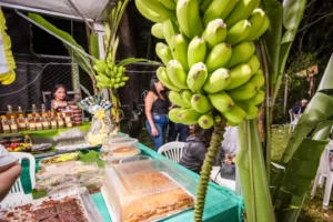 31º Festival da Banana de Ipatinga está com programação artística definida