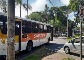 Aniversário De Ipatinga Terá ônibus Especial Para O Parque Ipanema