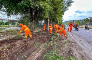 Ações de limpeza continuam em toda extensão da BR-381 na área urbana de Ipatinga