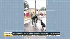 Cão ilhado em telhado de casa na cidade de Canoas, Rio Grande do Sul, é salvo por sargentos de Governador Valadares