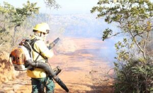 Minas adota prevenção a incêndios florestais como prioridade e se antecipa ao período seco