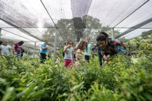 Instituto Usiminas recebe inscrições para atividades educativas