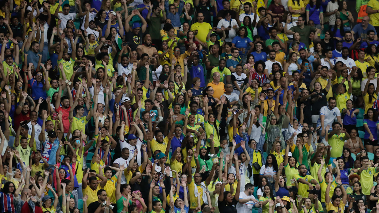 Torcida do Brasil na Fonte Nova - (foto:  Lvia Villas Boas / CBF)