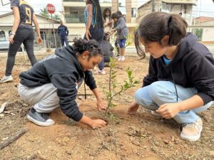 Usiminas promove plantio de mudas próxima à Escola Estadual Dom Helvécio