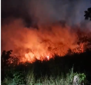 Fogo em vegetação no bairro Ana Rita, em Timóteo, colocou casas em risco e assustou moradores