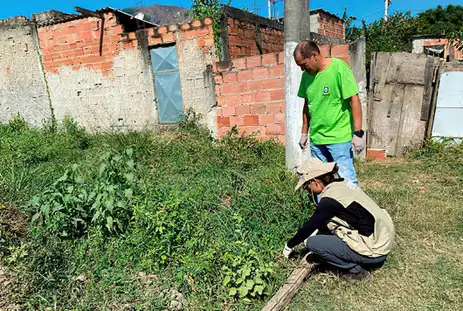 Rio de Janeiro (RJ) 01/07/2024 -Fiocruz alerta para meningite transmitida por caramujo.Profissionais do IOC Fiocruz e da Suvam Nova Iguaçu em atividade de campo para coleta de caramujos no bairro Ipiranga.
Foto: Fiocruz/Divulgação