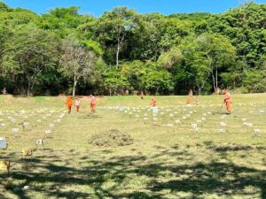 Prefeitura de Ipatinga abre inscrição para aquisição de 59 novos jazidos perpétuos