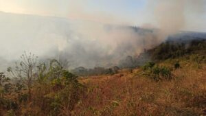 Incêndio atinge mata no entorno do Parque Estadual do Rio Doce