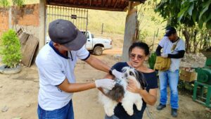 Vacinação contra a raiva para cães e gatos é realizada neste sábado (6) em Baguari | Vales de Minas Gerais