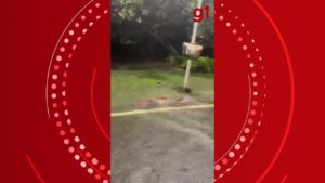 VÍDEO: lagoa transborda e peixes 'nadam' no asfalto em Ipatinga