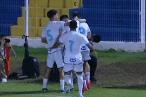 Jogadores do Cruzeiro comemorando (foto: Reproduo)