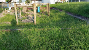 Moradores do bairro Vila dos Técnicos pedem roçada de mato em parque infantil