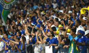 Torcida do Cruzeiro em jogo no Mineiro (foto: Ramon Lisboa/EM/D.A.Press)