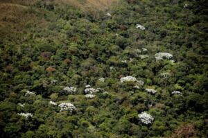 Sancionada em Minas Gerais a lei que incentiva recuperação ambiental