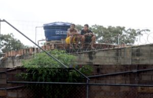 Cidade do Galo (foto: Alexandre Guzanshe/EM/D.A Press)