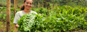 Governo de Minas investe na agricultura familiar transformando a alimentação escolar e a vida de produtores rurais