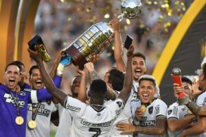 Jogadores do Botafogo comemorando o ttulo da Libertadores (foto: Alexandre Guzanshe/EM/D.A Press)