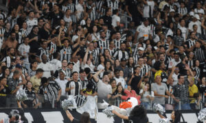 Torcedores do Atltico no Mineiro (foto: Alexandre Guzanshe/EM/DA.Press)