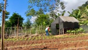 Ipatinga inicia processo de Regularização Fundiária Rural