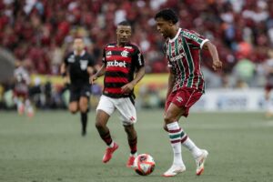 Lance do jogo entre Flamengo e Palmeiras (foto: LUCAS MERON / FLUMINENSE)