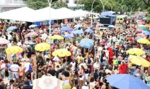 a alegria da folia na capital federal